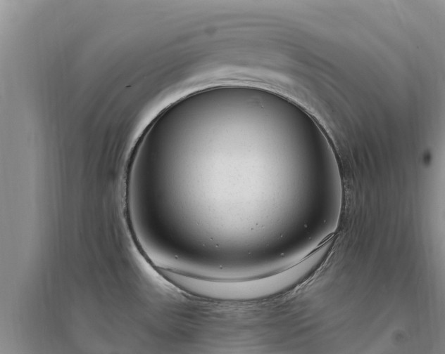 X0000094331531200711091353