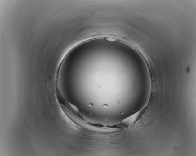 X0000094331532200711091353