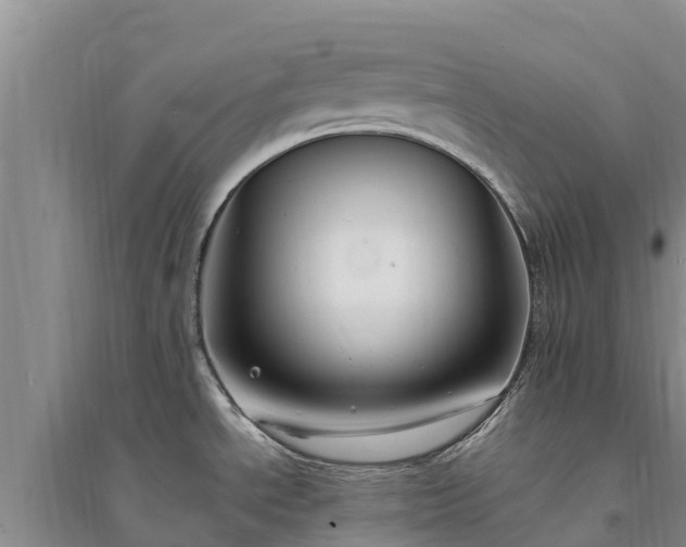 X0000094331534200711091353