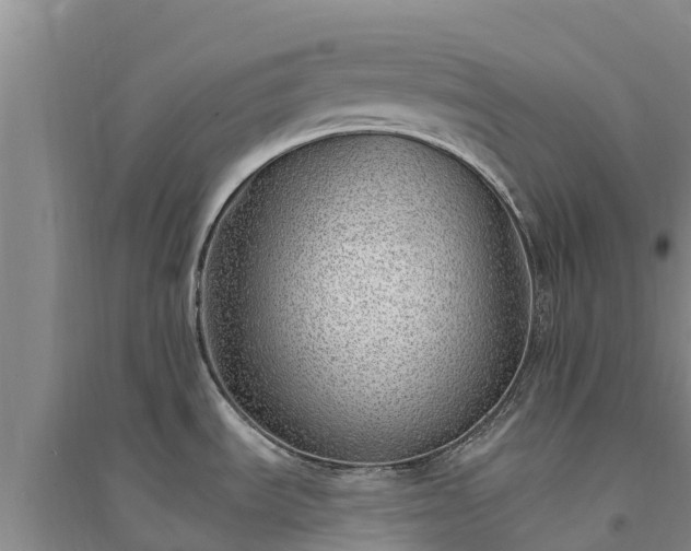 X0000094331535200711091353