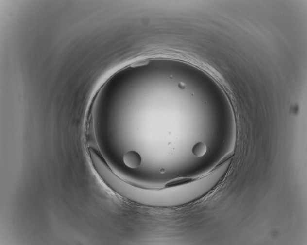X0000094331536200711091353