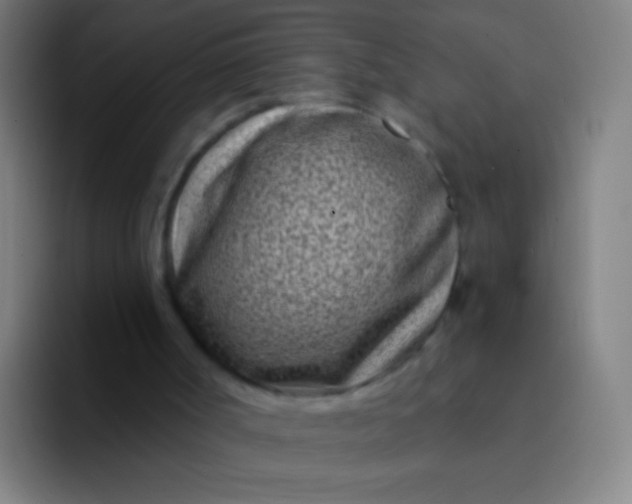 X0000094330002200711161959