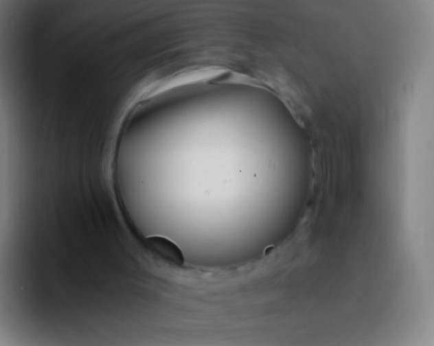 X0000094330003200711161959