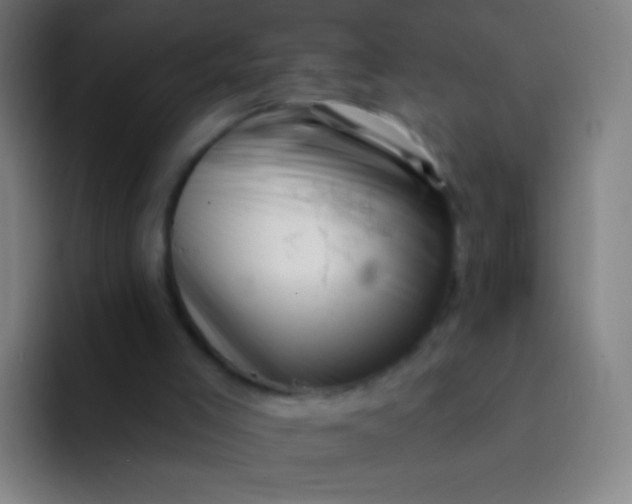 X0000094330005200711161959