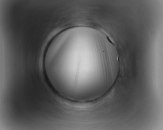 X0000094330008200711161959