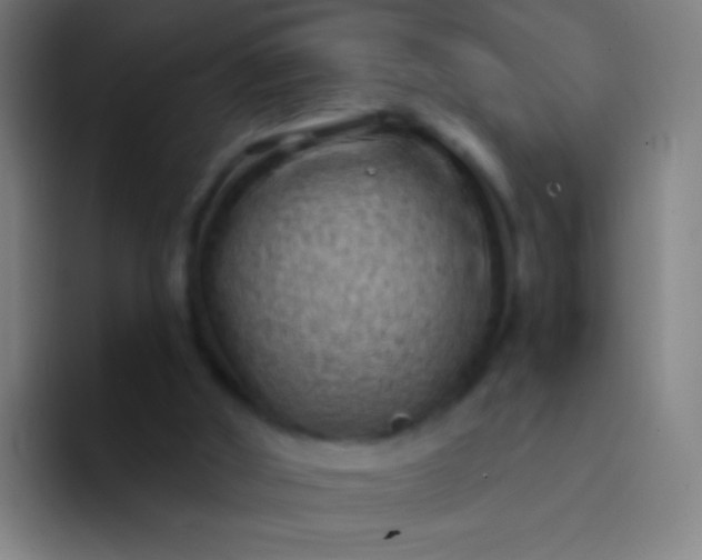X0000094330010200711161959