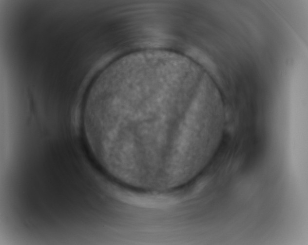 X0000094330012200711161959