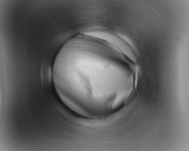X0000094330013200711161959