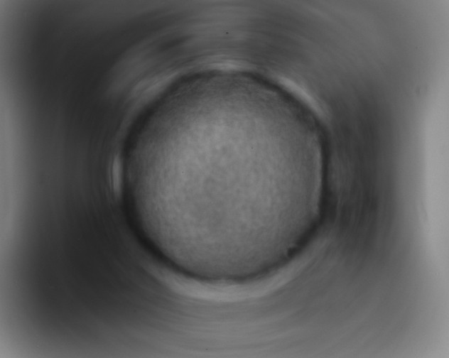 X0000094330014200711161959
