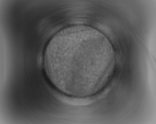 X0000094330016200711161959