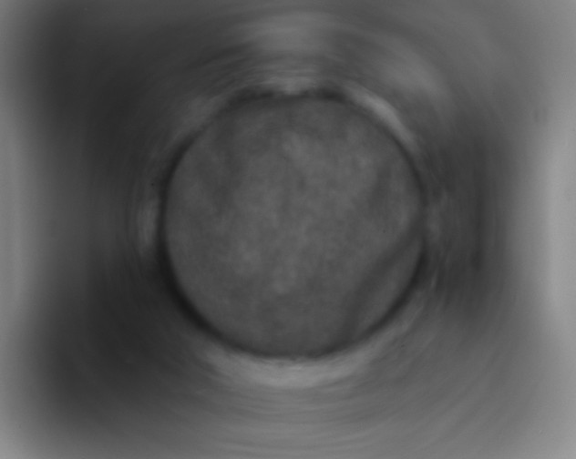 X0000094330018200711161959