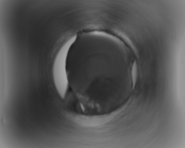 X0000094330019200711161959