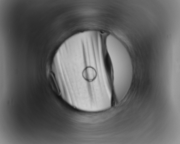 X0000094330021200711161959