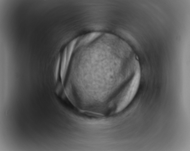 X0000094330024200711161959