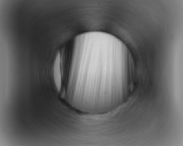 X0000094330025200711161959