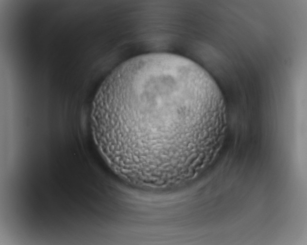 X0000094330026200711161959