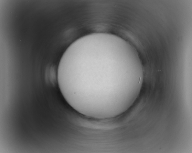 X0000094330028200711161959
