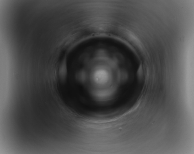X0000094330029200711161959