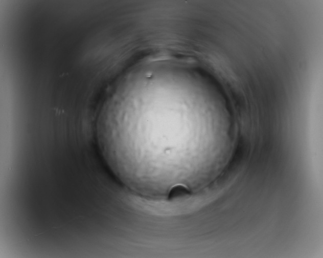 X0000094330030200711161959
