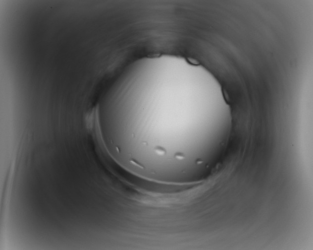 X0000094330033200711161959