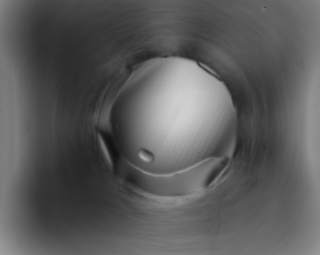 X0000094330037200711161958