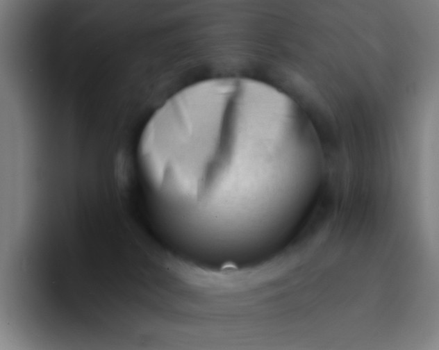 X0000094330038200711161958