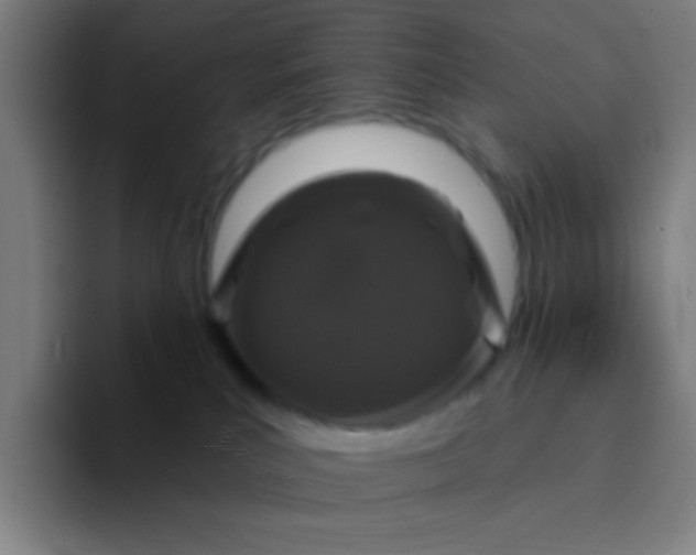 X0000094330039200711161958