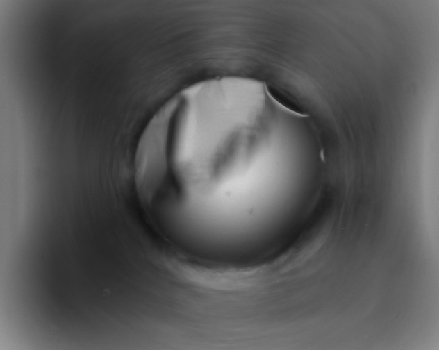 X0000094330040200711161958