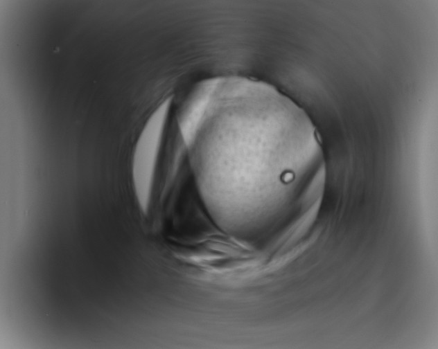 X0000094330041200711161958