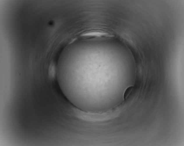 X0000094330042200711161958