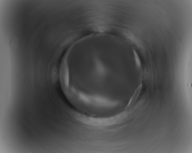 X0000094330043200711161958