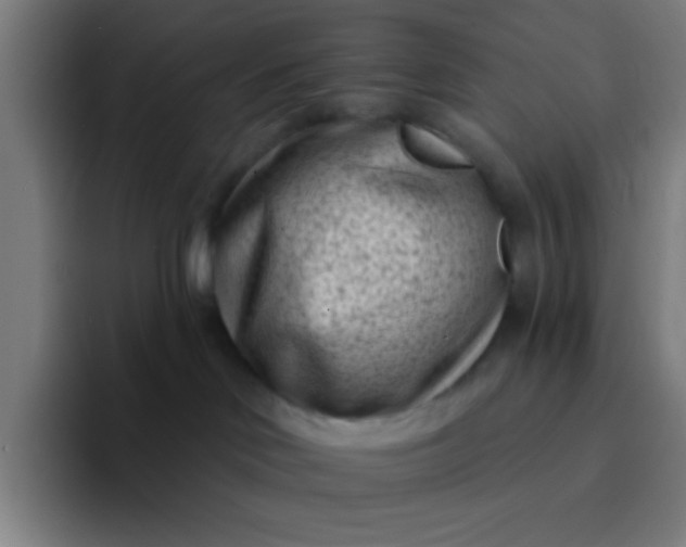 X0000094330046200711161958
