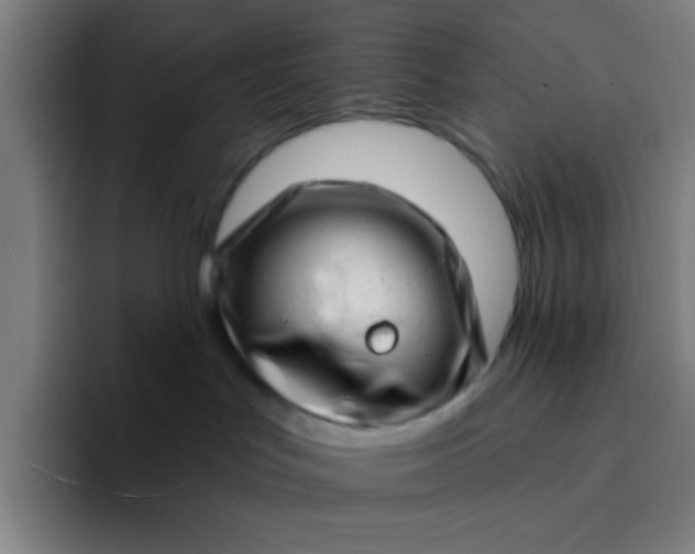 X0000094330047200711161958