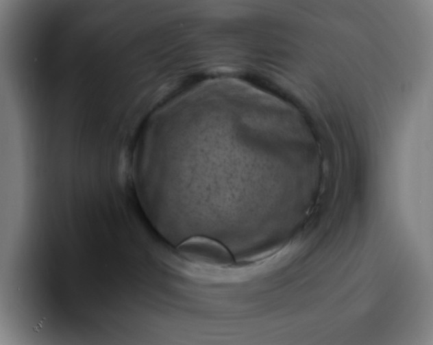 X0000094330048200711161958