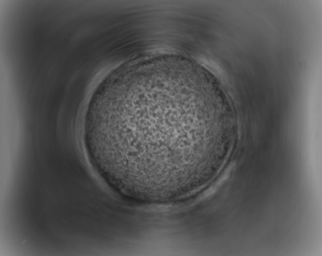 X0000094330049200711161958