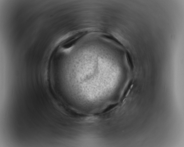 X0000094330050200711161958