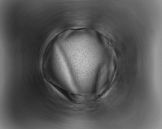 X0000094330051200711161958