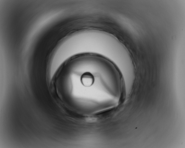 X0000094330052200711161958