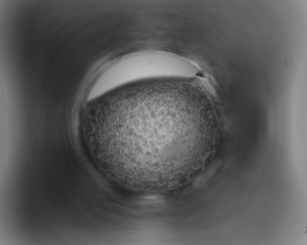 X0000094330053200711161958