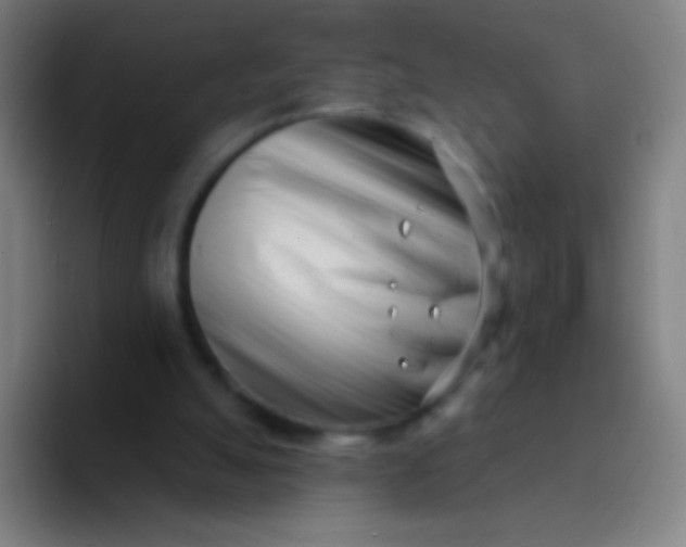 X0000094330055200711161958