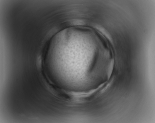 X0000094330057200711161958