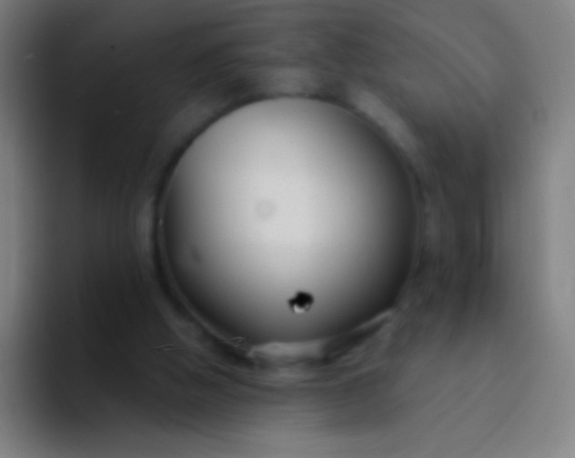 X0000094330058200711161958