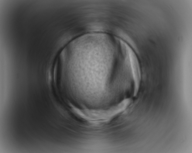 X0000094330059200711161958