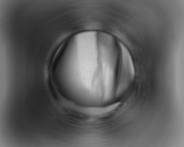 X0000094330060200711161958