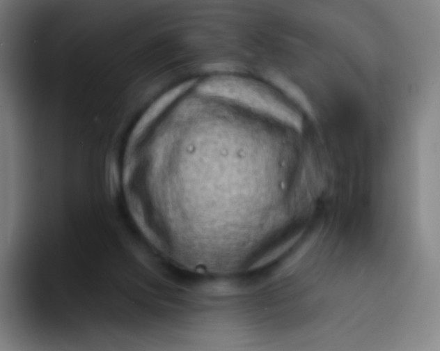 X0000094330061200711161958