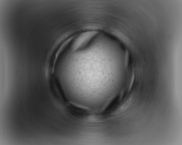 X0000094330064200711161958