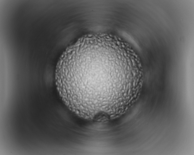 X0000094330065200711161958
