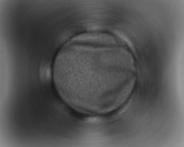 X0000094330067200711161958