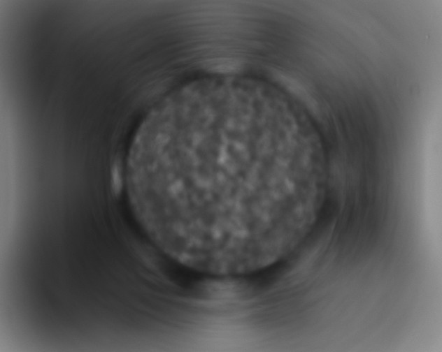X0000094330069200711161958