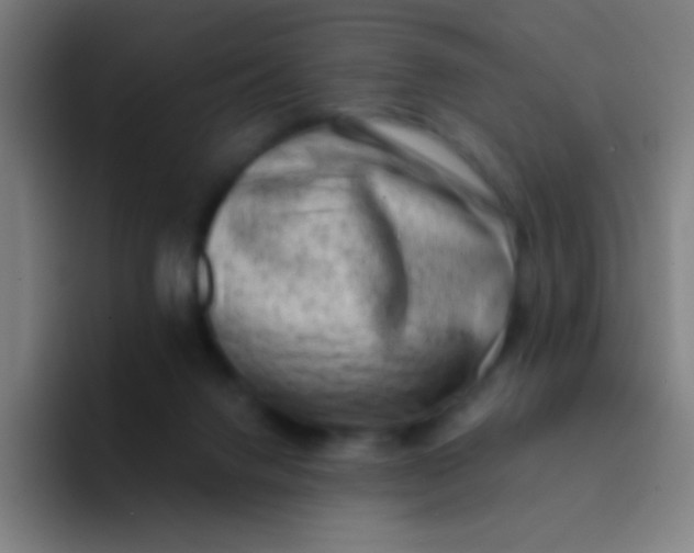 X0000094330072200711161958
